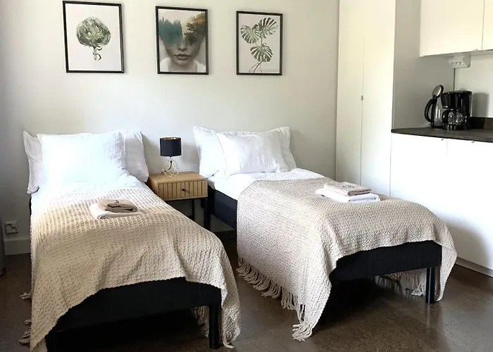 Omakotitalo, Kangasala, Ponsin Talo كانغاسالا